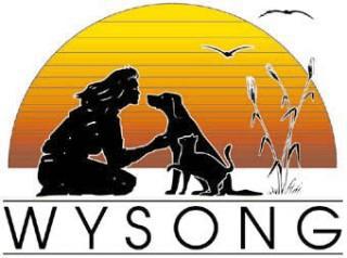 wysong_logo.jpg