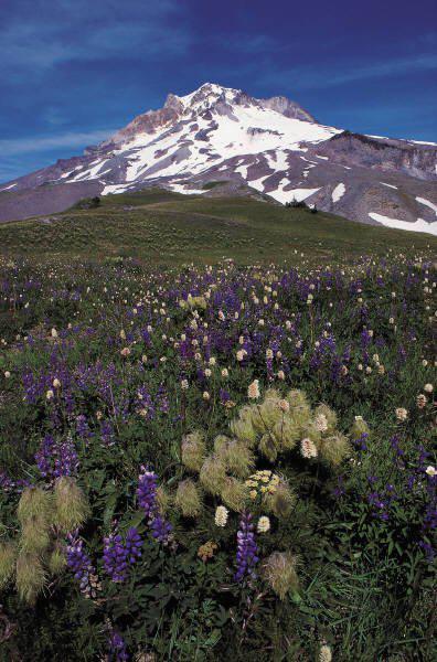Scenic San Juan Mountains