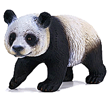 Pandas