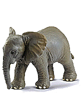 Elephants