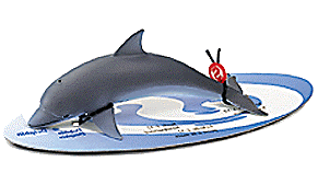 Dolphin