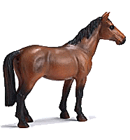 Horses