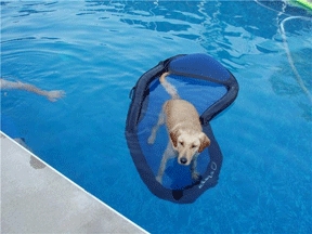 bain.gif