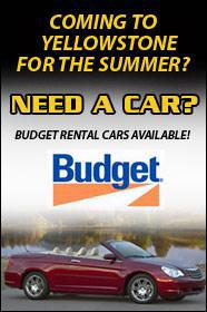 Coming to Yellowstone for the summer? Need a car? Budget rental cars available!