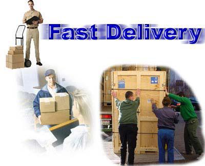 Fast Delivery