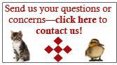 Send us your questions of concerns&mdash;click here to contact us!