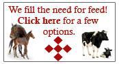 We fill the need for feed! Click here for a few options.