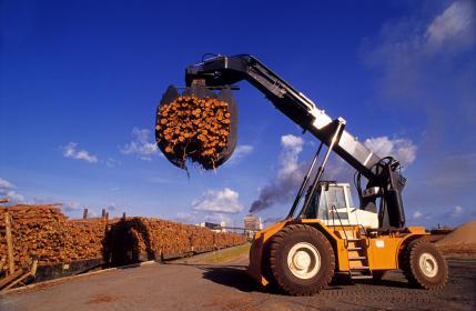 wood2.jpg