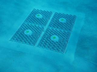 pool cover