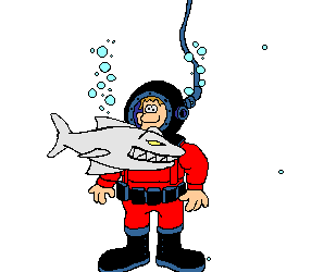 Shark Dive