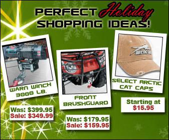 Perfect Holiday Shopping Ideas