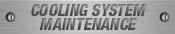 Cooling System Maintenance