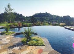 Cascade Pools and Spas - Custom Pools