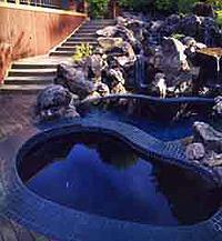 Cascade Pools and Spas - Custom Spas