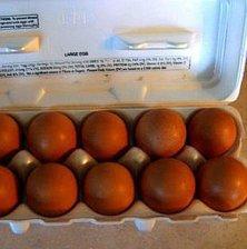 barnvelder eggs.jpg
