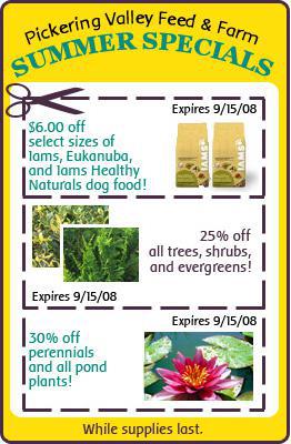 Summer Specials