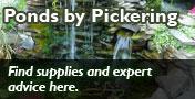 Ponds by Pickering: Find supplies and expert advice here.