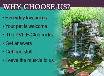 Why choose us? Everyday low prices. Your pet is welcome. The PVF E-Club rocks. Get answers. Get free stuff. Leave the muscle to us.