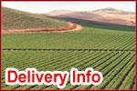 Delivery Info