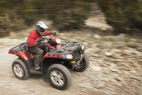 Talty Polaris