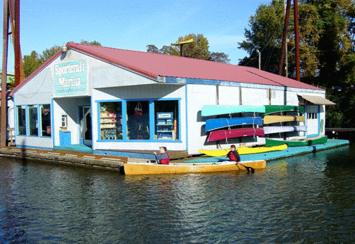 image1.gif