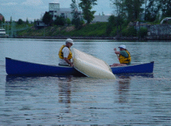 image4.gif