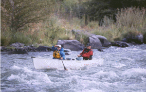 image5.gif