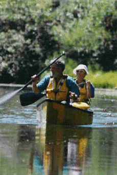 image6.gif