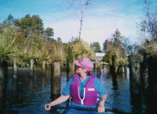 Ladies Day Trip