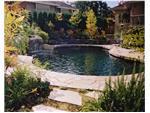 Custom Pools