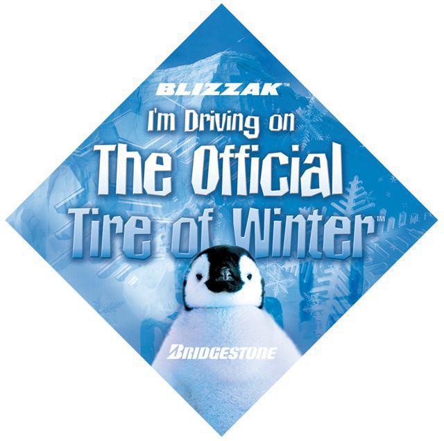 07BFS363BlizzakWindowDecal.jpg