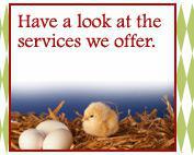 Have a look at the services we offer.