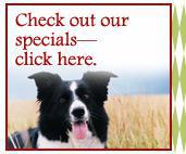 Check out our specials-click here.