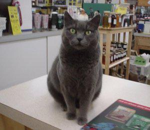 Wallace Farm and Pet Supply, Inc. - Animal Health
