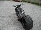 Seven Custom Cycles