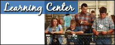 4-H/FFA