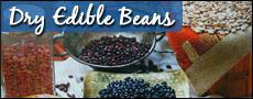 Frontier Beans