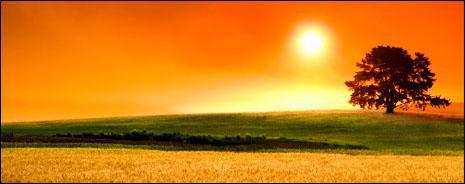 Serving northern Colorado bean growers and livestock feeders for over 50 years. Products for commercial operations: large diary, beef-range cattle, feed-lot cattle, and sheep. Multiple locations for bean receiving. Contact us today!