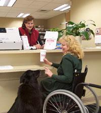 Experienced Customer Service