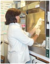 Intravenous Therapy