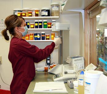 pharmacy_image.jpg