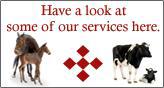 Have a look at some of our services here.