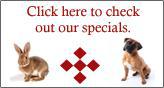 Click here to check out our specials.
