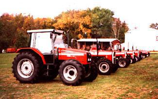 Massey Ferguson Tractors Lined Up