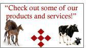 Check out some of our products and services here.