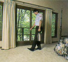 Carpet Cleaning Process