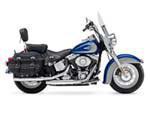 Harley Softail