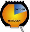 Percent Nitrogen