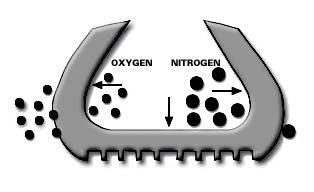 Oxygen Permeability