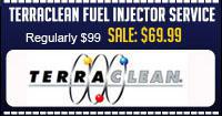 Terraclean fuel injector service. Regularly $99.00. Sale 69.99.